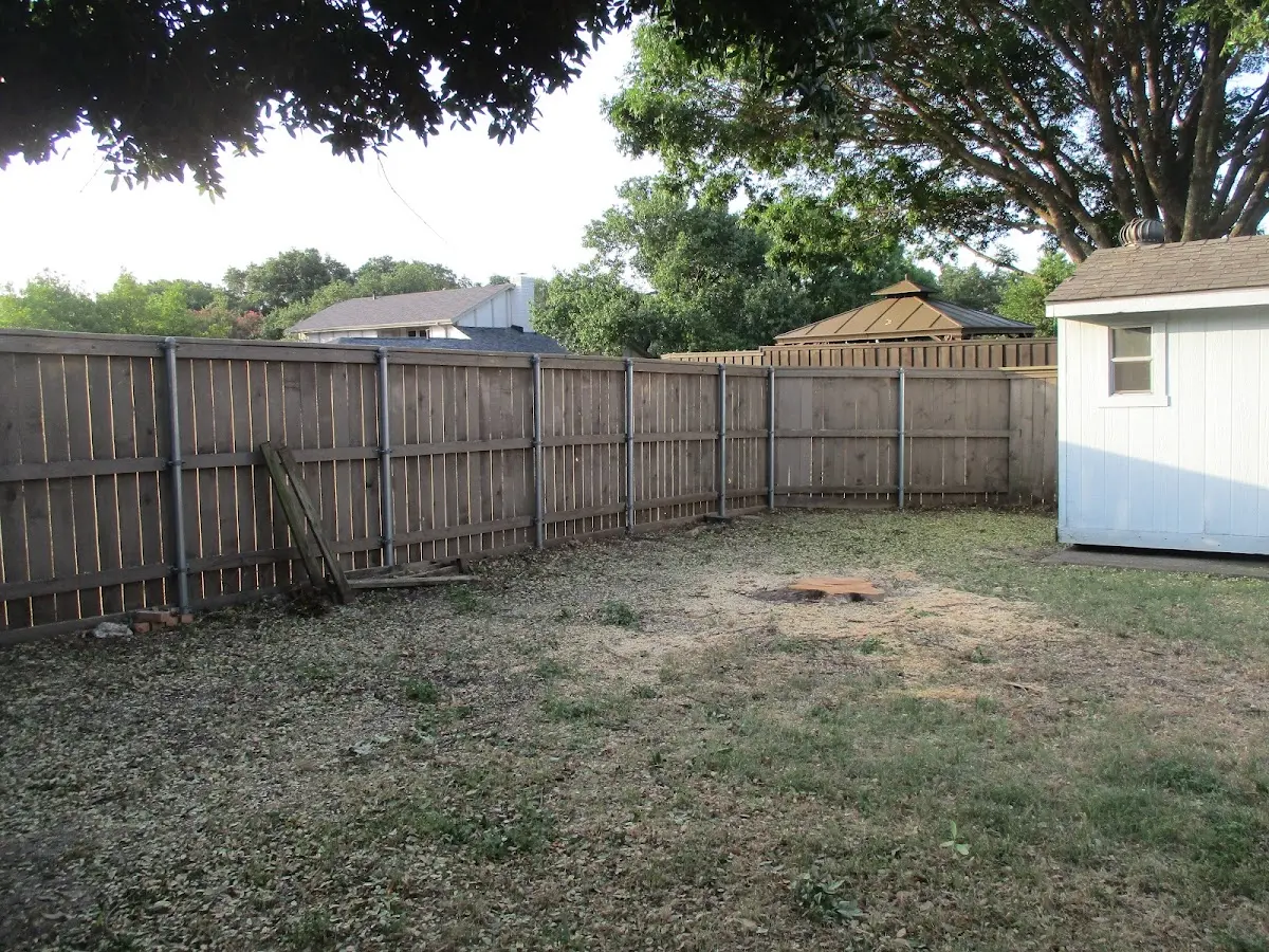Cleared yard after professional tree removal in Bradford